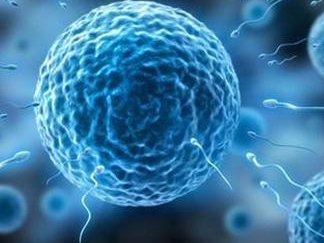 沈阳3家三代试管助孕生孩子医院名单整理，赶紧收藏