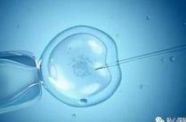 北京大学深圳医院做一次试管婴儿的大致费用是多少钱？